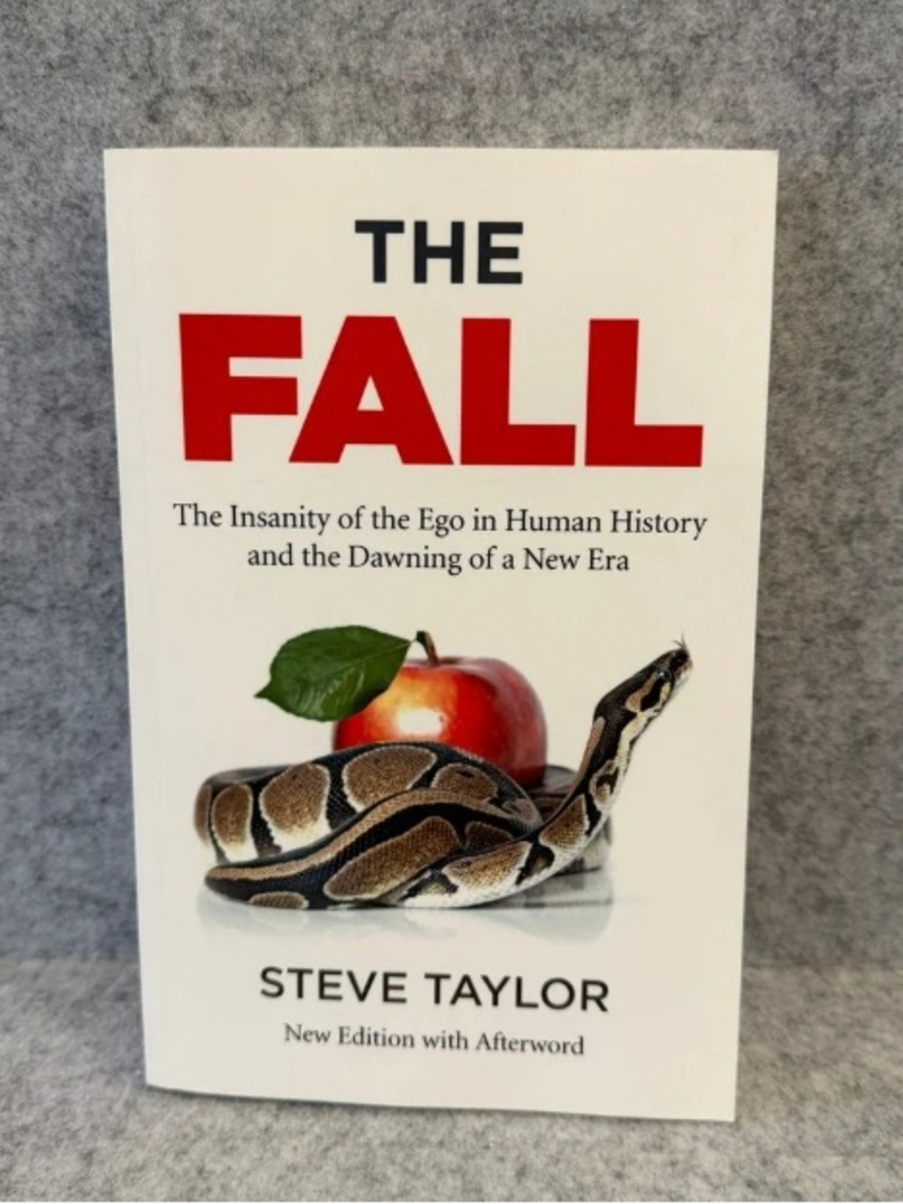 The Fall - Steve Taylor (White & Red Cover)